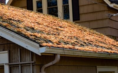 5 Common Springtime Roof Problems in Bridgewater